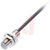 Balluff - BES00E4 - 2m PUR cable PNP/NO Flush 2mm M12 Inductive Sensor|70376042 | ChuangWei Electronics